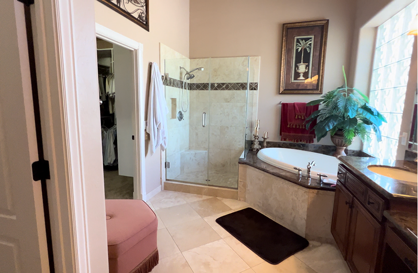 Luxurious bath area with plants and decor